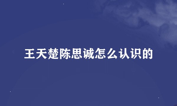 王天楚陈思诚怎么认识的