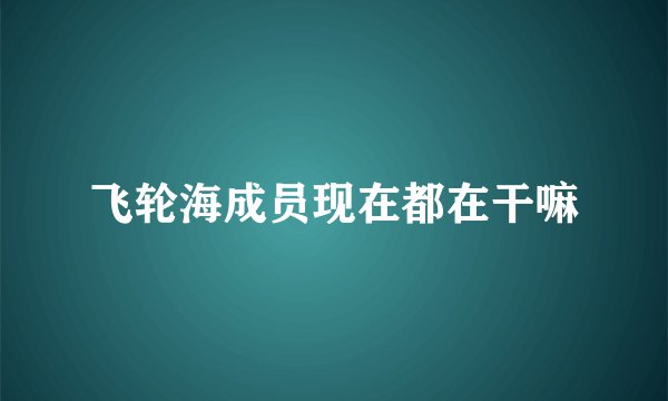 飞轮海成员现在都在干嘛