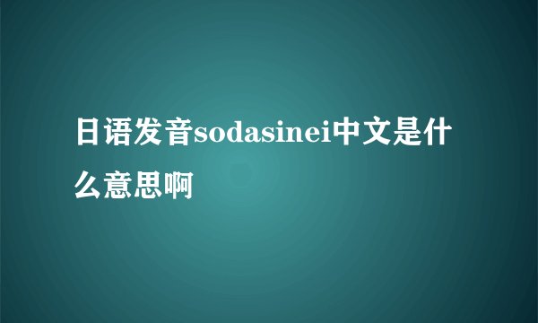 日语发音sodasinei中文是什么意思啊