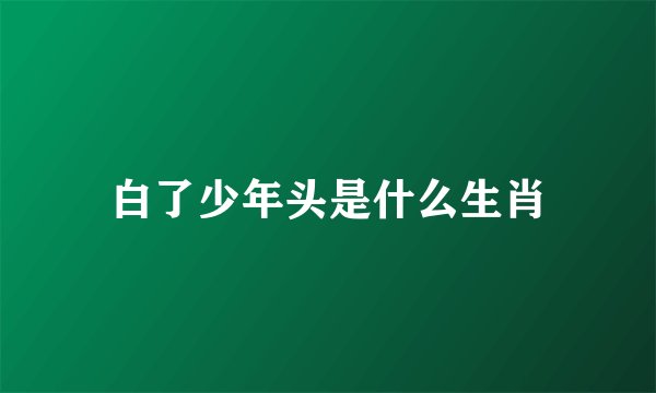 白了少年头是什么生肖