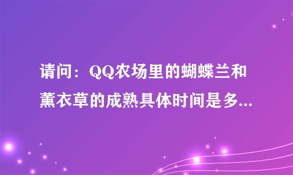 请问：QQ农场里的蝴蝶兰和薰衣草的成熟具体时间是多少？分别是多少季的？