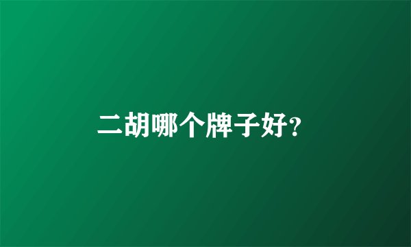 二胡哪个牌子好？