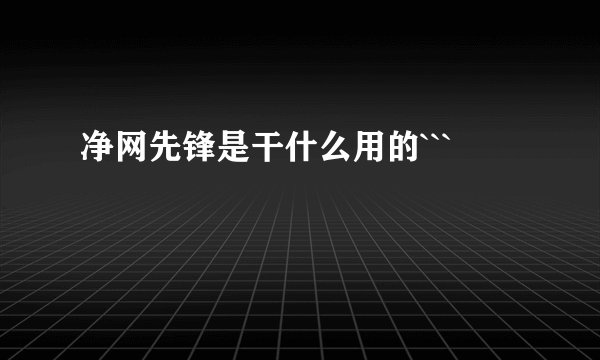 净网先锋是干什么用的```