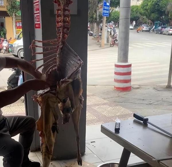 狗子看到店主宰羊吓出表情包