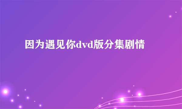 因为遇见你dvd版分集剧情