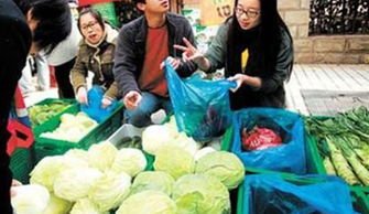 大学生继承父辈菜摊,创新经营方式年入百万,他付出了怎样的努力?