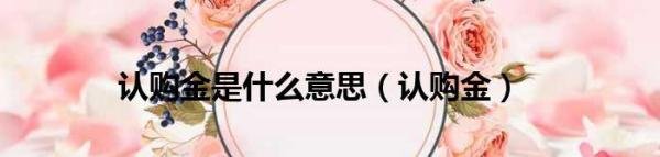 认购金是什么意思_认购金介绍