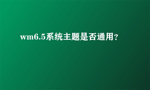 wm6.5系统主题是否通用？