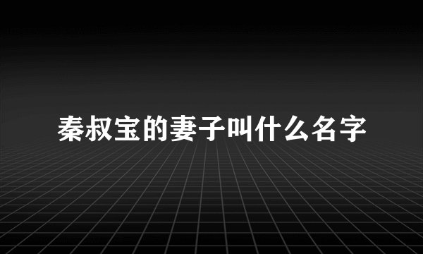 秦叔宝的妻子叫什么名字