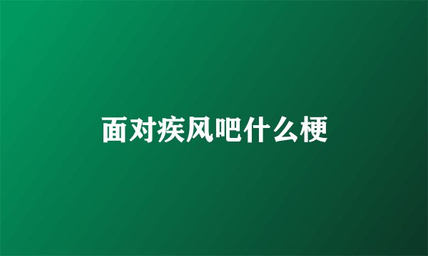 面对疾风吧什么梗