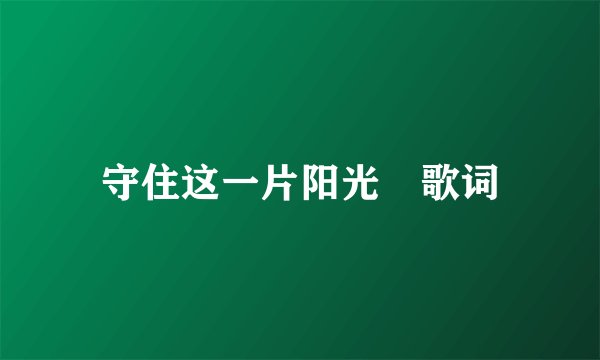 守住这一片阳光 歌词