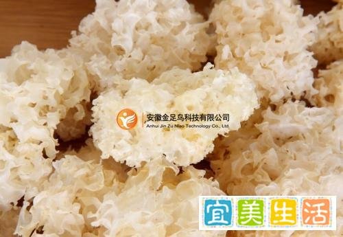 “拿工资一半养生”等调侃90后一边作死一边自救等话题不断登上热搜榜