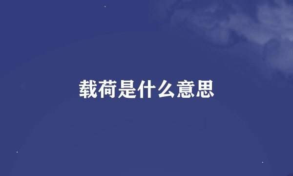 载荷是什么意思