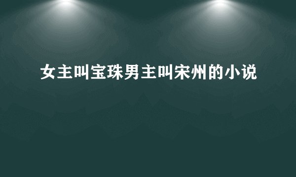 女主叫宝珠男主叫宋州的小说