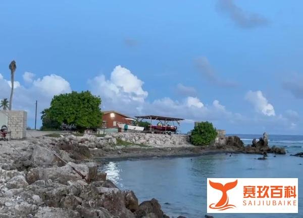 瑙鲁投资入籍计划资格和尽职调查流程