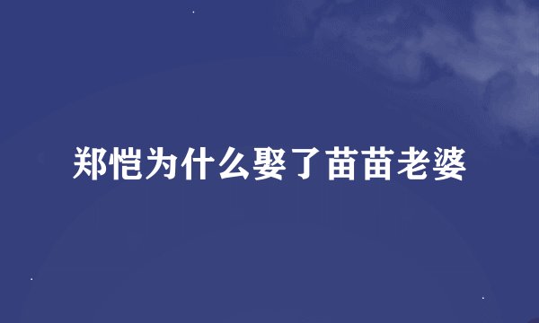 郑恺为什么娶了苗苗老婆