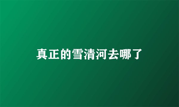 真正的雪清河去哪了