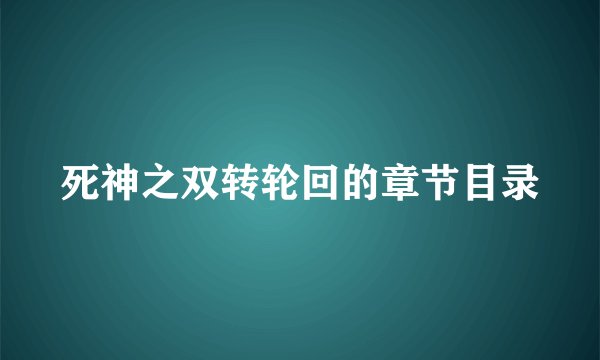 死神之双转轮回的章节目录