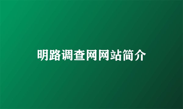 明路调查网网站简介