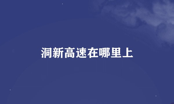 洞新高速在哪里上