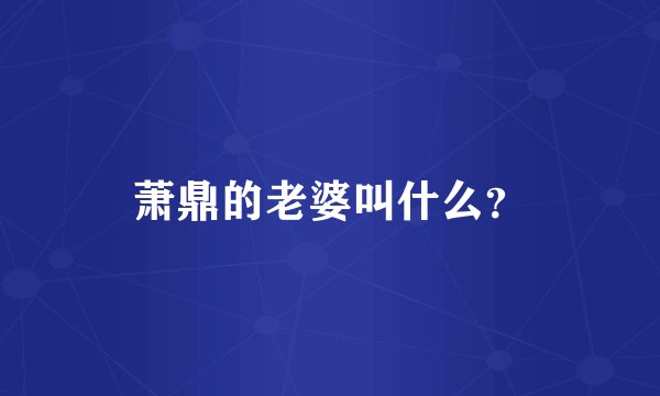 萧鼎的老婆叫什么？