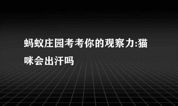 蚂蚁庄园考考你的观察力:猫咪会出汗吗