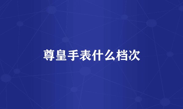 尊皇手表什么档次