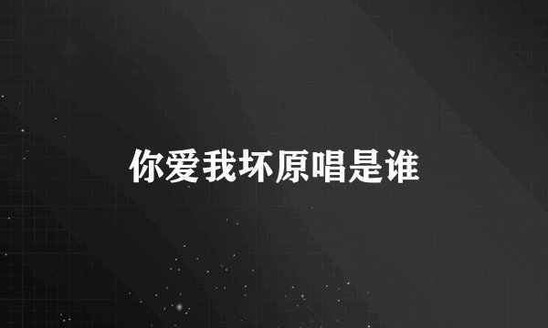 你爱我坏原唱是谁