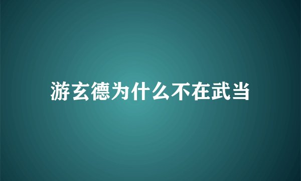 游玄德为什么不在武当