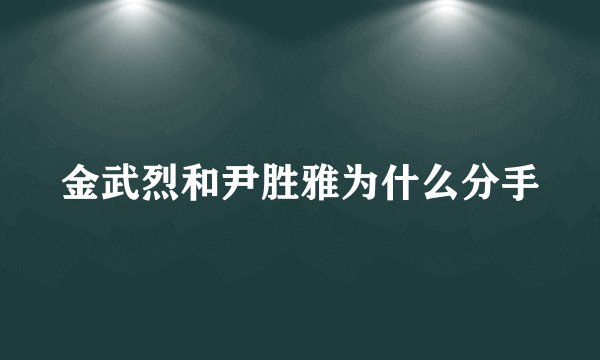 金武烈和尹胜雅为什么分手