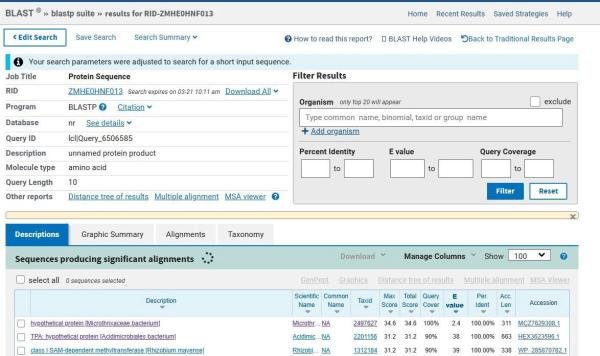 NCBI BLAST使用教程及BLASTP比对结果分析