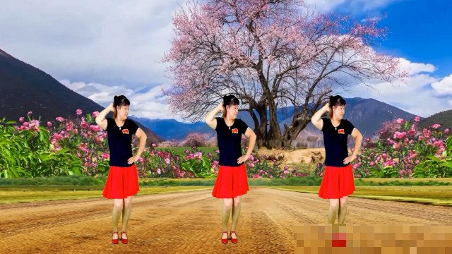 抖音广场舞蹈最火前十名