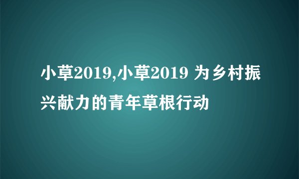 小草2019,小草2019 为乡村振兴献力的青年草根行动