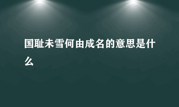 国耻未雪何由成名的意思是什么