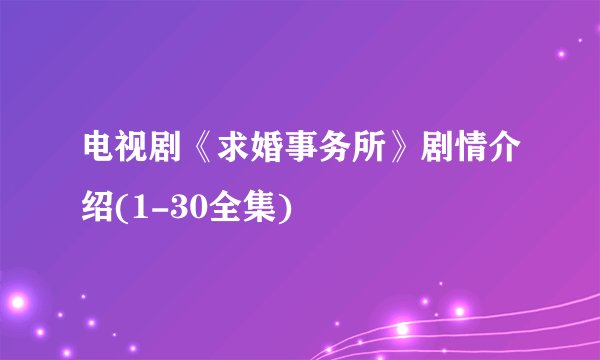 电视剧《求婚事务所》剧情介绍(1-30全集)