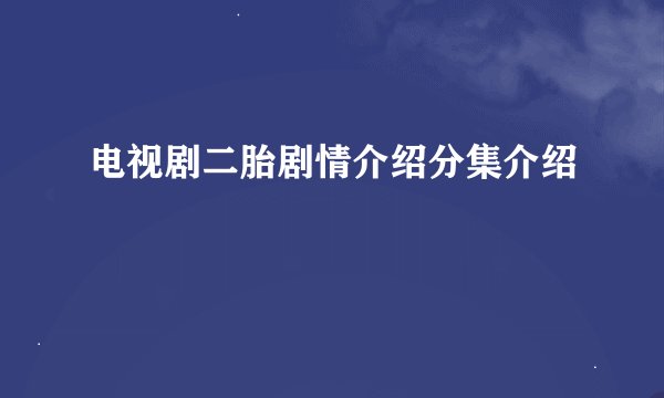 电视剧二胎剧情介绍分集介绍