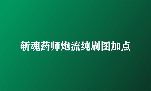 斩魂药师炮流纯刷图加点