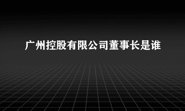 广州控股有限公司董事长是谁