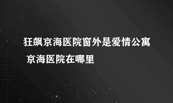 狂飙京海医院窗外是爱情公寓 京海医院在哪里