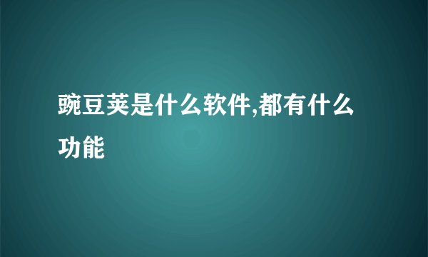 豌豆荚是什么软件,都有什么功能