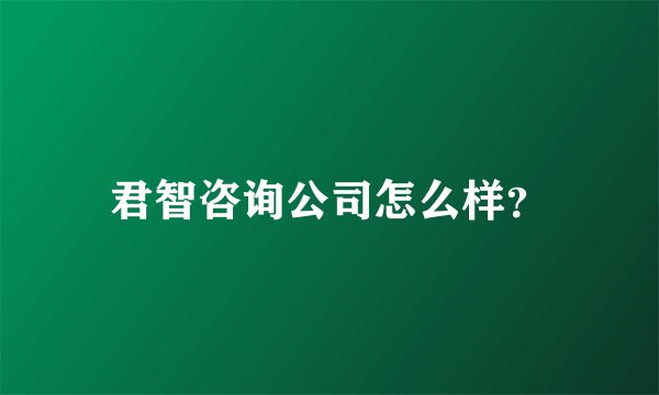 君智咨询公司怎么样？