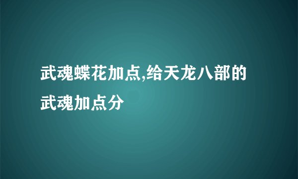 武魂蝶花加点,给天龙八部的武魂加点分