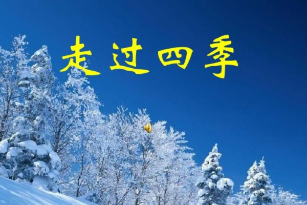 走过四季的唯美句子