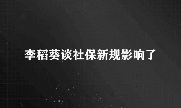 李稻葵谈社保新规影响了
