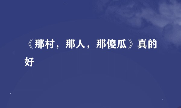 《那村，那人，那傻瓜》真的好