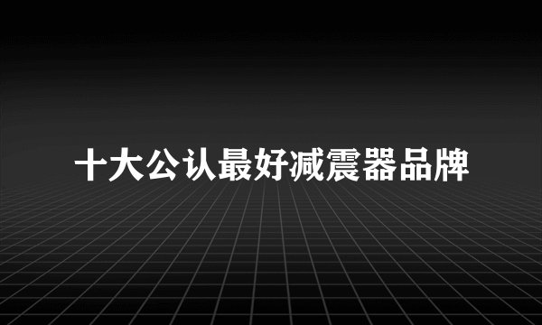 十大公认最好减震器品牌