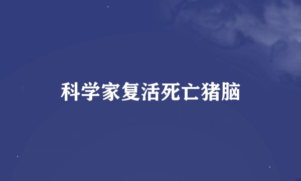 科学家复活死亡猪脑