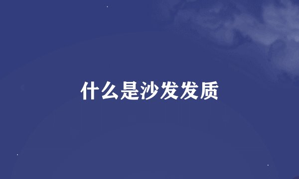 什么是沙发发质