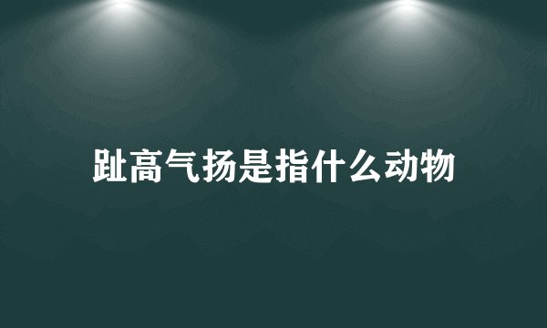 趾高气扬是指什么动物