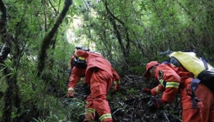 重装突击队解密哀牢山搜救,此次的搜救道路有多艰难?